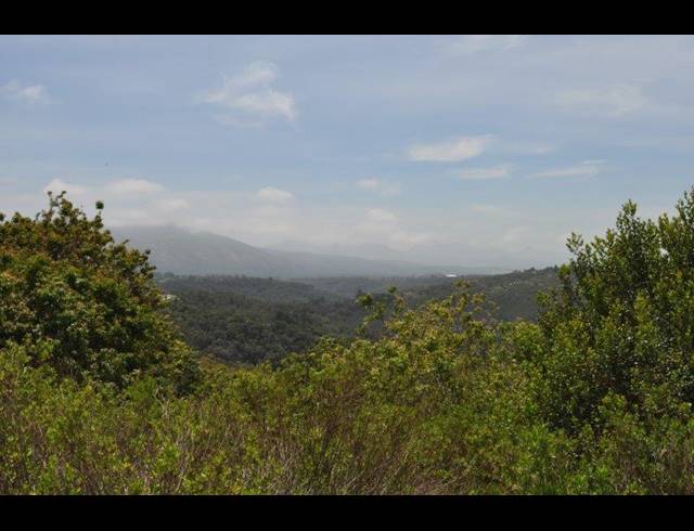 LAND FOR SALE IN WILDERNESS HEIGHTS